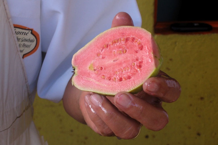 Para pessoas que<br> não podem consumir sacarose. 